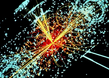 Getting Your Feet Muddy with Data Science: A Conversation with Ross Taylor