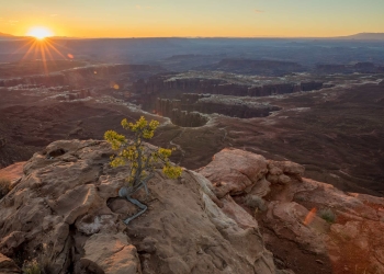 Blockchain Creates Profits Where There Were None Before