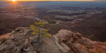 Blockchain Creates Profits Where There Were None Before