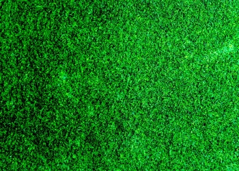 To Avoid Cyberattacks, You Must Clean Your Data. Here’s Why.