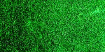 To Avoid Cyberattacks, You Must Clean Your Data. Here’s Why.