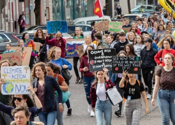 Why Businesses Should Turn to Data to Fight Climate Change