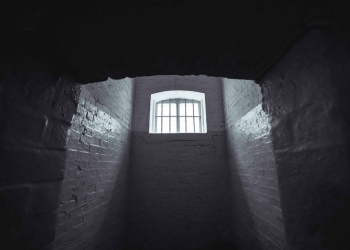 Not All Pregnancies Count: The Data Gap on Maternal Health and Jails