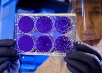 The coronavirus shows us how tech companies can do more against fake news