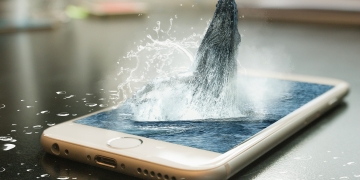 Uncommon machine learning examples that challenge what you know