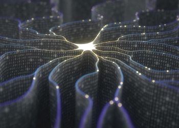 A new neural network is able to read tree heights using satellite images