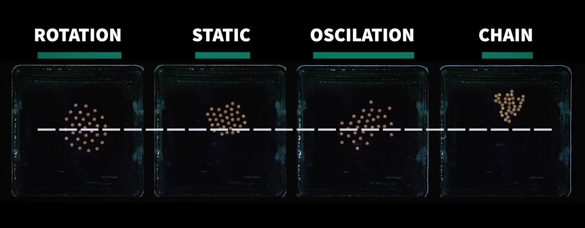 A team of researchers developed microrobot collectives that are able to move in any pattern. The tiny particles are capable of swiftly and effectively changing their swarm behavior.