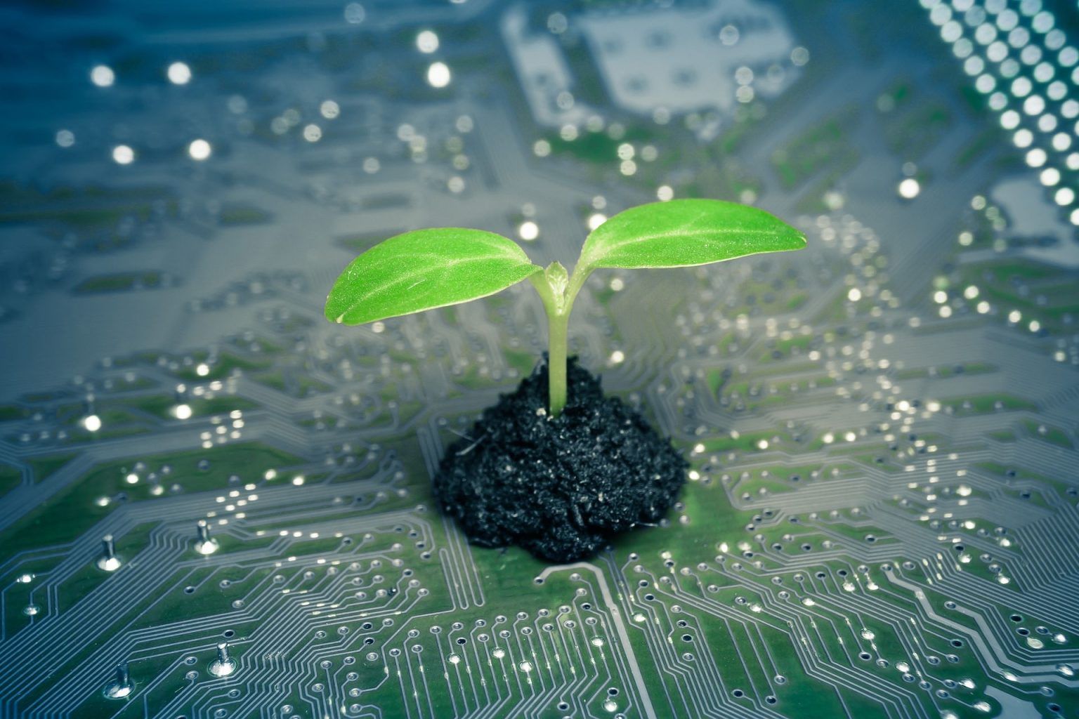 How Do Green Computing Affect The Environment