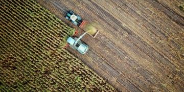 AI in agriculture: Computer vision and robots are being used for higher efficiency