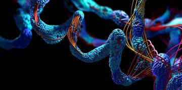 Deepmind Alphafold Ai Cracks 3D Structure Of All Proteins Known To Date
