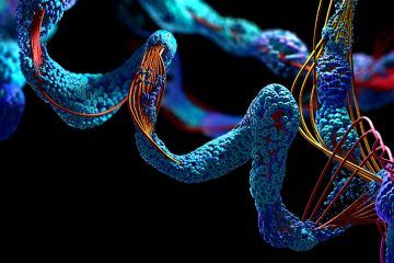 Deepmind Alphafold Ai Cracks 3D Structure Of All Proteins Known To Date