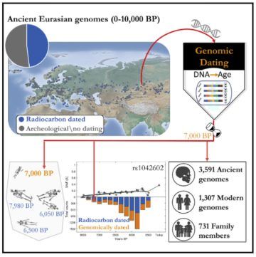 AI-supported Temporal Population Structure (TPS) Technique Sheds Light ...