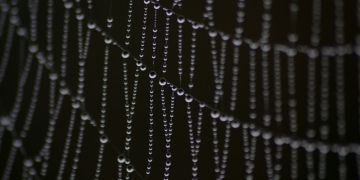 Network redundancy is the safety net of business continuity