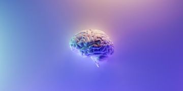 A new neurocomputational model could advance neural artificial intelligence research