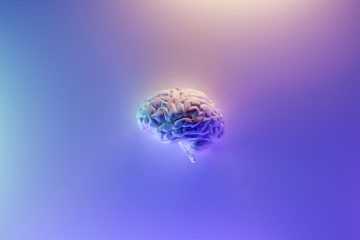 A New Neurocomputational Model Could Advance Neural Artificial Intelligence Research
