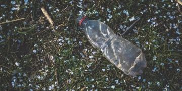 Expert prediction markets can improve climate-risk estimates