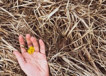 Managing multi-cloud data is like looking for a needle in a haystack