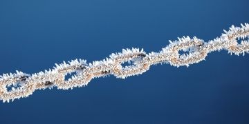 DeFi and the carbon credits market are a match made in heaven, so why has it stalled?