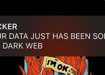 Your WhatsApp data may be on sale on the dark web!