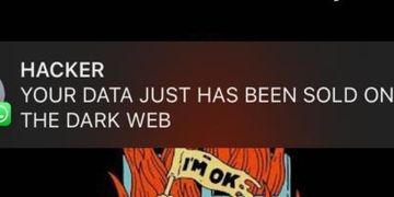 Your WhatsApp data may be on sale on the dark web!