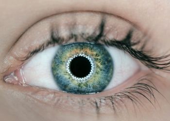 Transforming industries and enhancing the CX with visual AI Transforming industries and enhancing the CX with visual AI