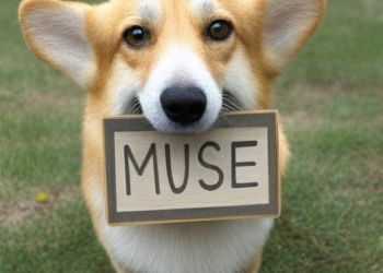 Google claims that Muse AI is better than DALL-E 2 Google claims that Muse AI is better than DALL-E 2