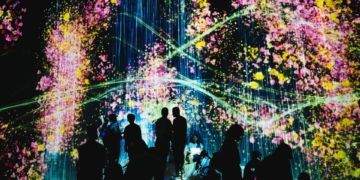 Fostering a culture of innovation through digital maturity