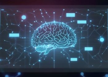 Exploring the intricacies of deep learning models