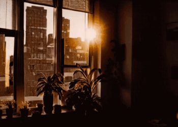 Runway AI Gen-2 makes text-to-video AI generator a reality