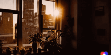 Runway AI Gen-2 makes text-to-video AI generator a reality