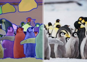 Meet SAM, Meta’s new AI image segmentation tool that deals with complex images for you