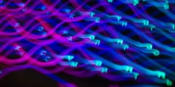 Everything you should know about AI models