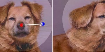 DragGAN AI photo editor is coming for the Photoshop’s throne