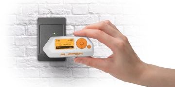 Dolphin hack: What can you do with a Flipper Zero