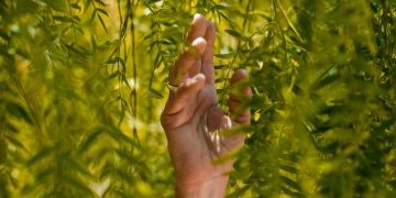 Sustainability meets technology: Sparck Technologies’ integration of green solutions