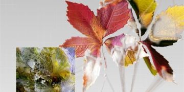 Is Nightshade AI the savior of artistic integrity in the age of AI?