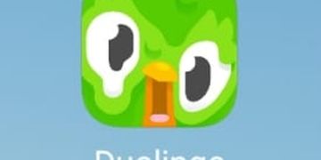 Why is the Duolingo app icon melting?