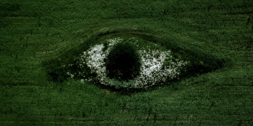 Is AI green, how sustainable is it?