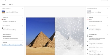 This Adobe feature is fighting the biggest AI image generation issue