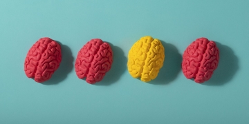 AI scans detect sex-based brain disparity