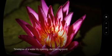 Generate Shorts with Google Veo AI coming soon