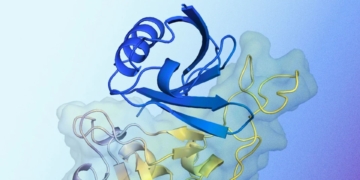AlphaProteo uses AI in protein design
