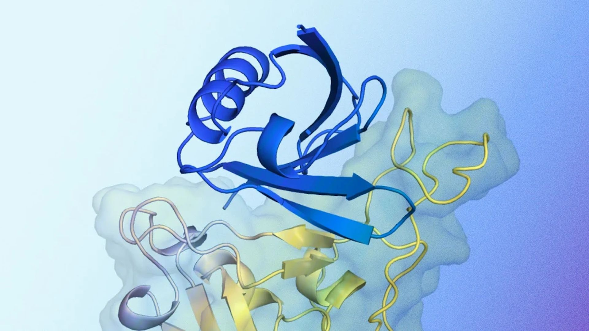 AlphaProteo uses AI in protein design