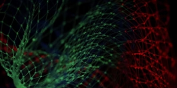 Data room software: The essential tool for startups and small businesses