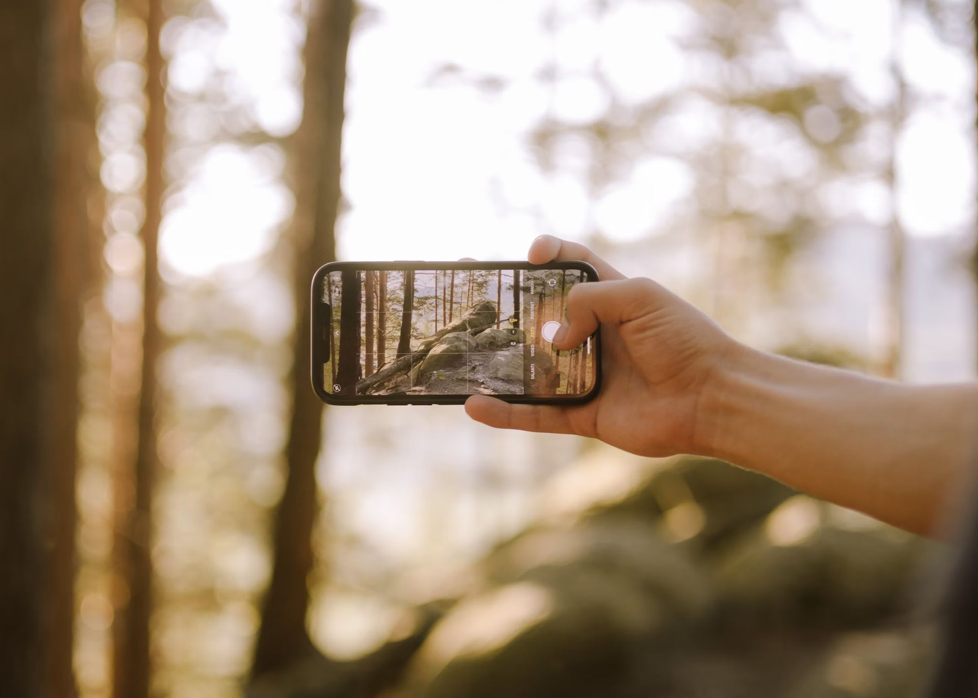 Apple peut collecter vos données photo par défaut