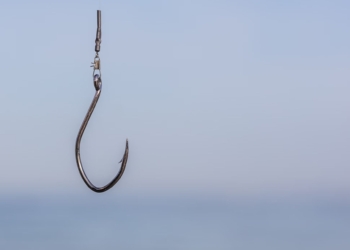 Phishing experts are upping their game to hunt for C-suite whales