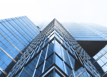 The role of web-based solutions in modern payroll and HCM management