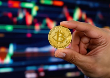 DeFi, NFTs, and other crypto niches are going to thrive this year