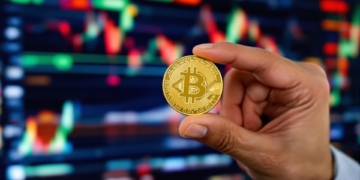 DeFi, NFTs, and other crypto niches are going to thrive this year