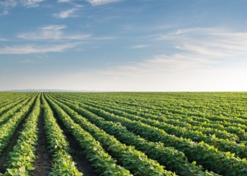 Flexible Solutions (FSI) stock skyrockets 53%: Is this the start of sustained growth?